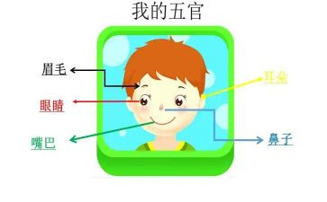五官科工作计划6篇