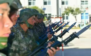 武警士官述职报告7篇