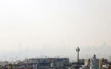 环境砷污染的调查报告通用7篇