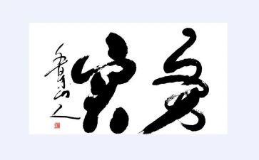 财务实践心得体会5篇