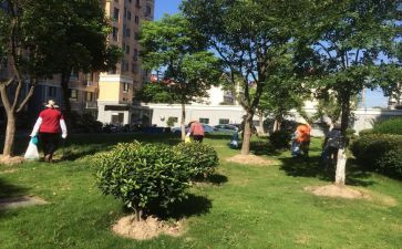 2024物业小区工作总结通用6篇