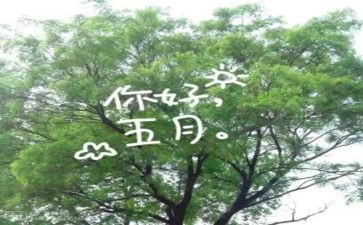 2023五月份的工作总结参考8篇