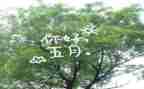 2023五月份的工作总结参考8篇
