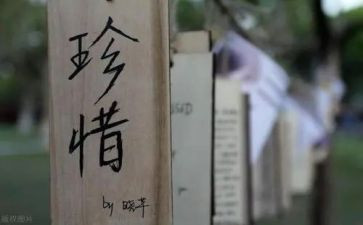 惜粮食演讲稿5篇