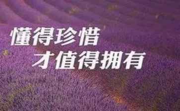 幼儿园珍惜粮食演讲稿7篇