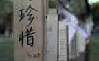 惜粮食演讲稿推荐5篇
