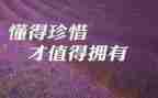 幼儿园珍惜粮食演讲稿7篇