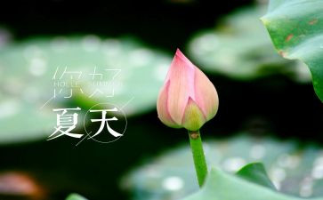 夏天作文500字作文6篇