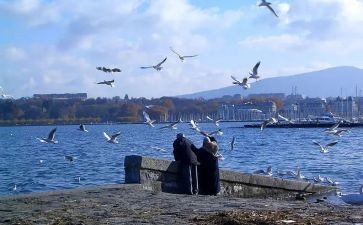 与诗相伴作文精选8篇