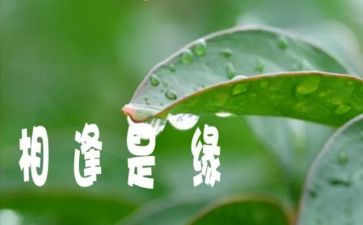 相逢作文800字7篇