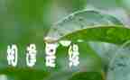 相逢作文800字7篇