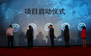 项目报告总结模板6篇