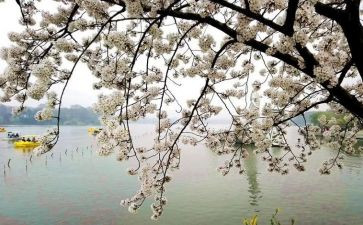 想起你时温暖作文优秀8篇