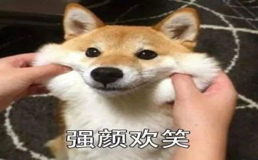笑对生活高中作文参考6篇