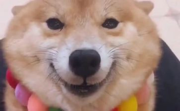 幼儿园教师笑的心得体会参考8篇