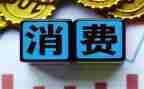 春节消费小调查报告模板6篇