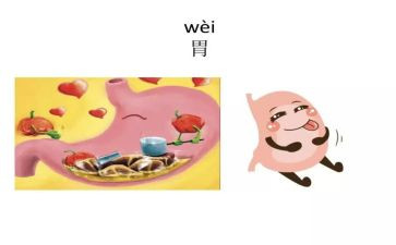 消化的自我鉴定优质8篇