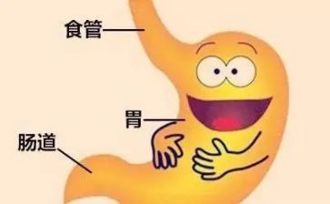 消化科护士心得6篇