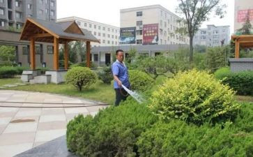 小区物业2023工作总结5篇