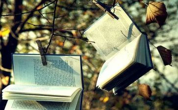 读小说写读后感6篇