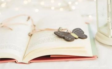 读小说写读后感参考7篇