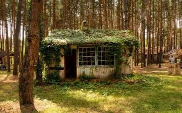 埋在雪下的小屋读后感7篇