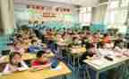 小学教学总结个人总结7篇