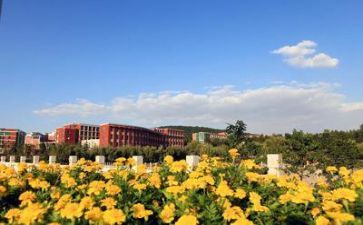 校园安全教师演讲稿7篇