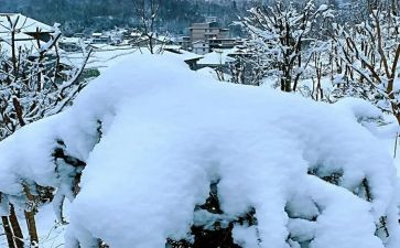 下雪了作文500字8篇