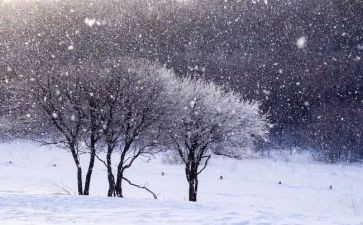 语言下雪啦教案6篇