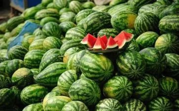 摘西瓜读后感7篇