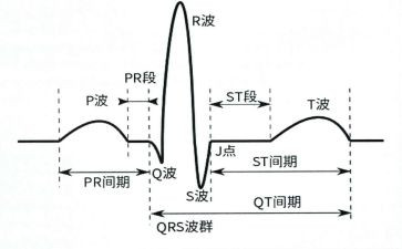 心电图的自我鉴定8篇