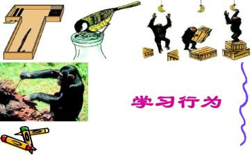 中小学教师违反职业道德行为心得体会6篇