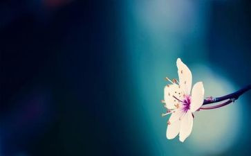 心境的作文精选8篇