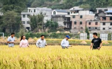 2023新农村建设调研报告5篇