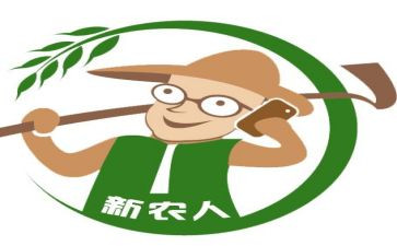 新农合基金自查报告6篇