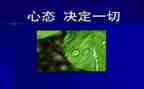 教师的阳光心态心得体会7篇