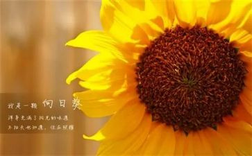 财务的新一年工作计划通用5篇