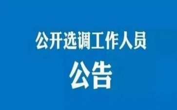 选调生到村工作总结8篇