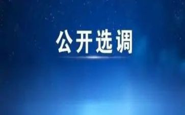 选调自我鉴定5篇