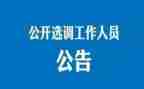 选调生到村工作总结8篇