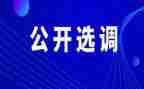 选调培训心得体会8篇