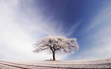 环卫除雪工作计划优质7篇