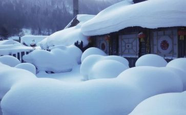 雪的梦想作文优质7篇