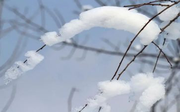 有关雪的调查报告优秀7篇