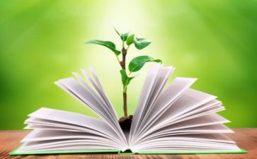 幼儿班教育教学工作总结精选6篇
