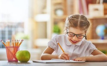 学习部的工作计划7篇