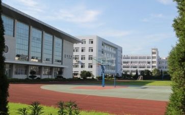 学校的工作总结优质7篇