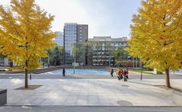 2024年学校年度总结优质7篇