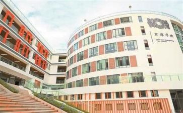 2024年学校个人总结范文最新6篇